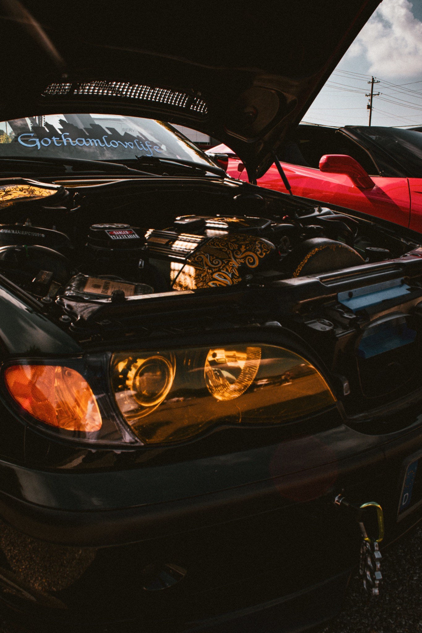 Under the Hood — TLC Photography