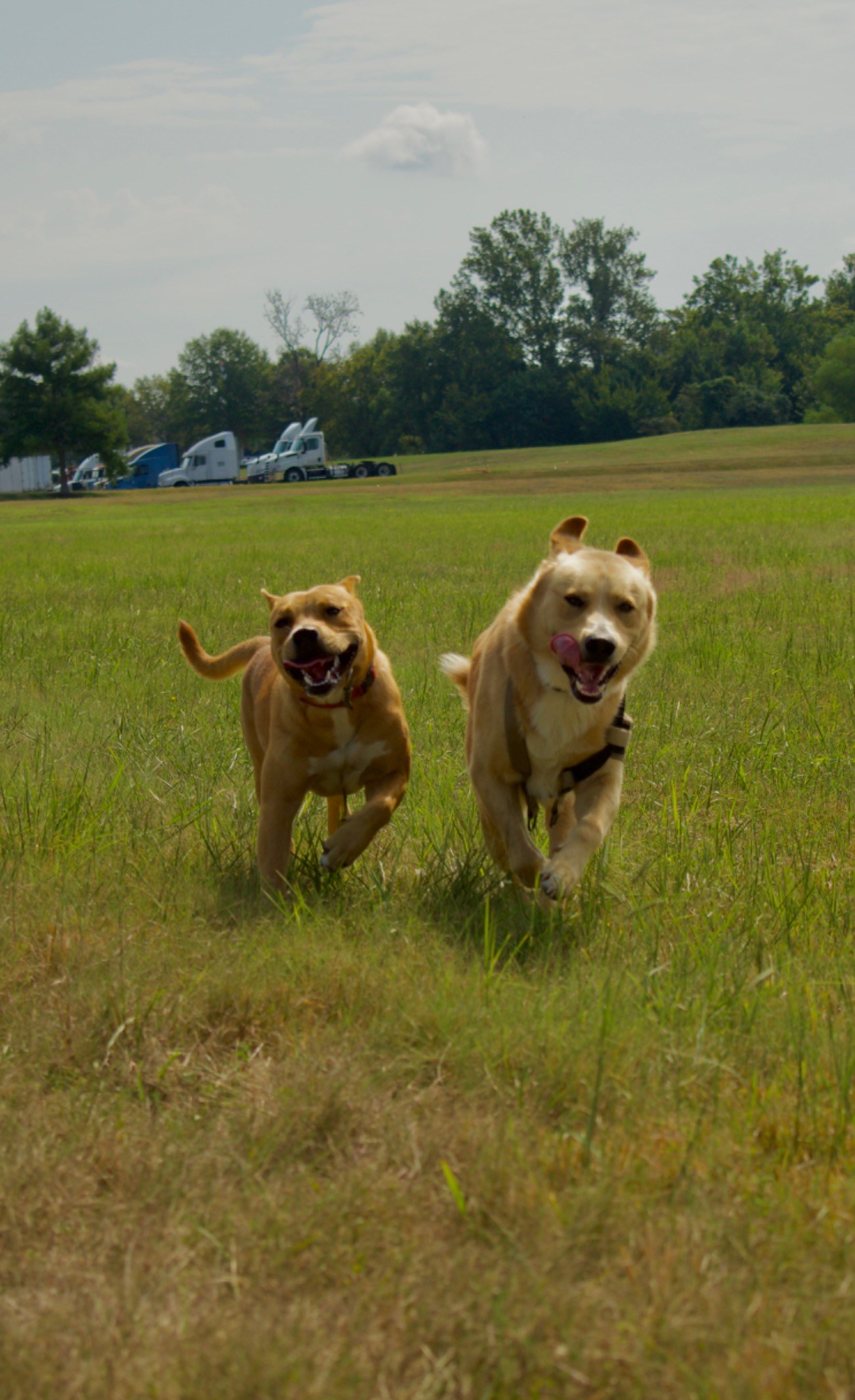 Two in Motion — TLC Photography